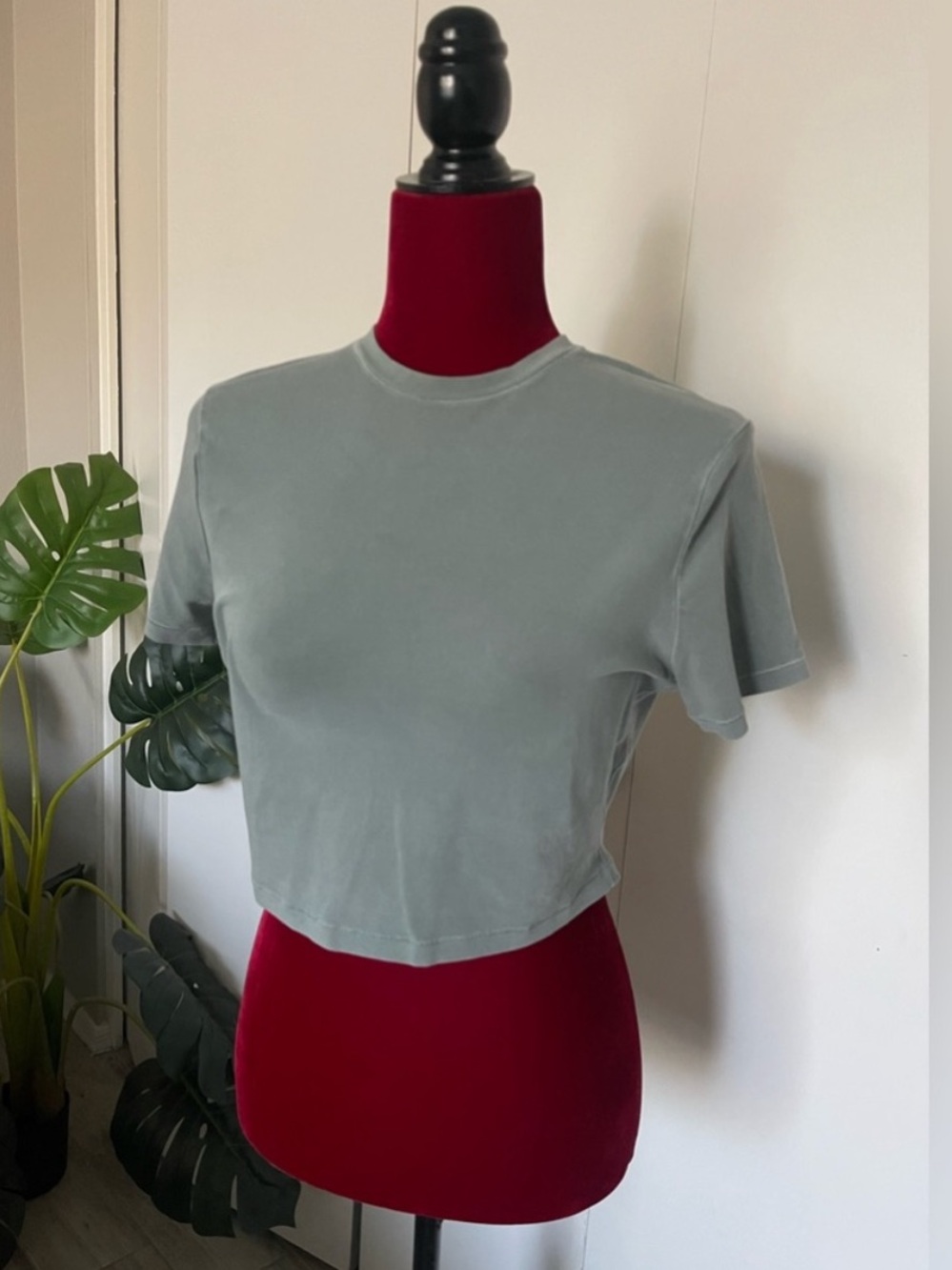 Skims green crop top